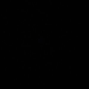 Meet your Posher, Kaden